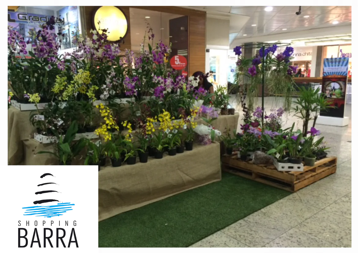 Feira de Orquídeas no Shopping Barra