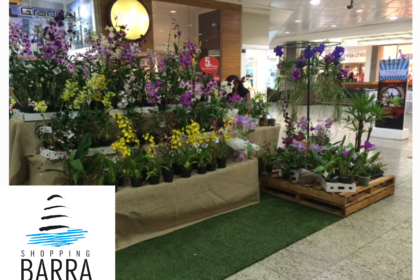 feirabara