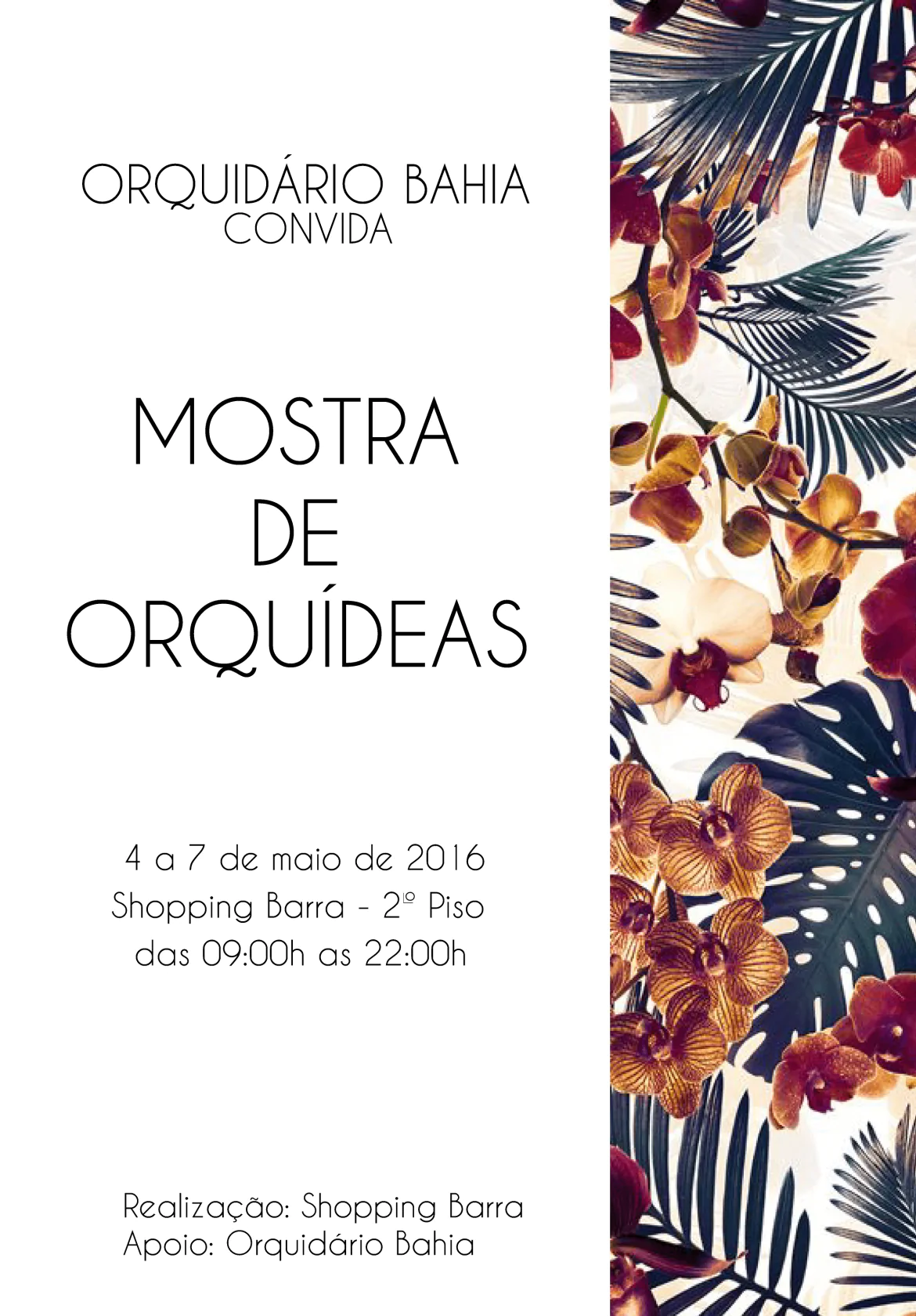 Mostra de Orquídeas no Shopping Barra