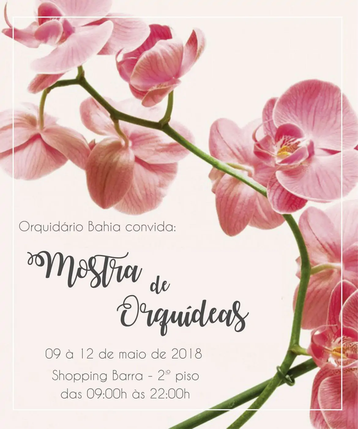 Festival de Orquídeas de Amargosa