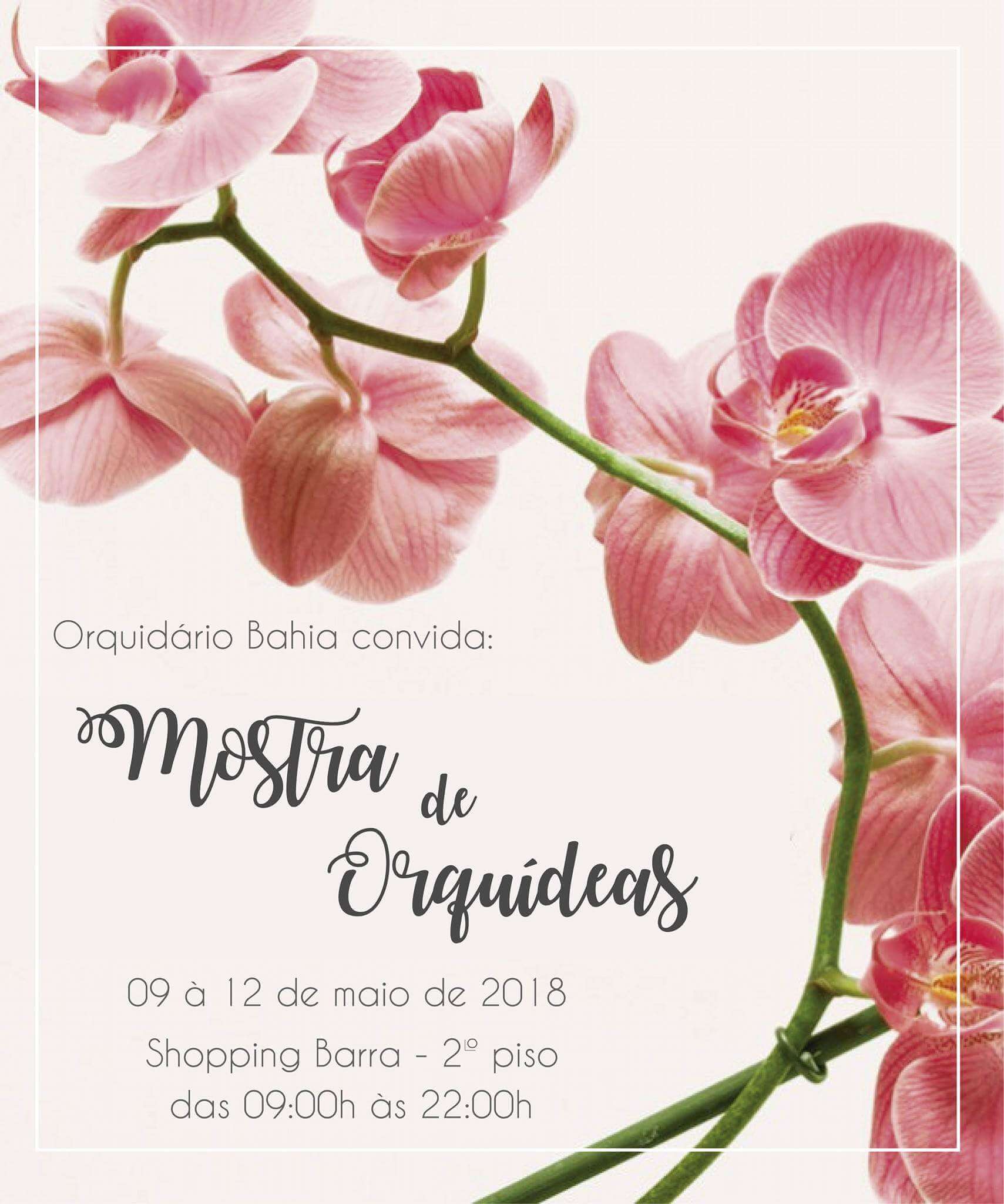 Mostra de Orquídeas do Orquidário Bahia no Shopping Barra 2018.1 -  Orquidário Bahia