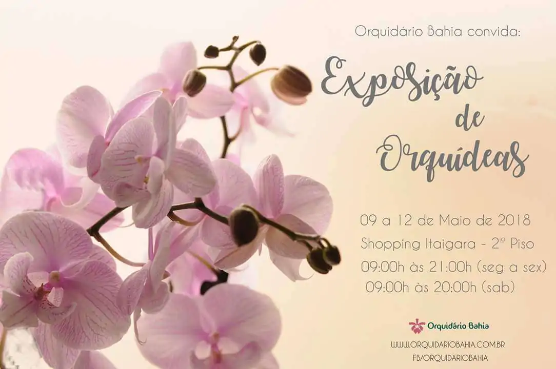 Festival de Orquídeas de Amargosa