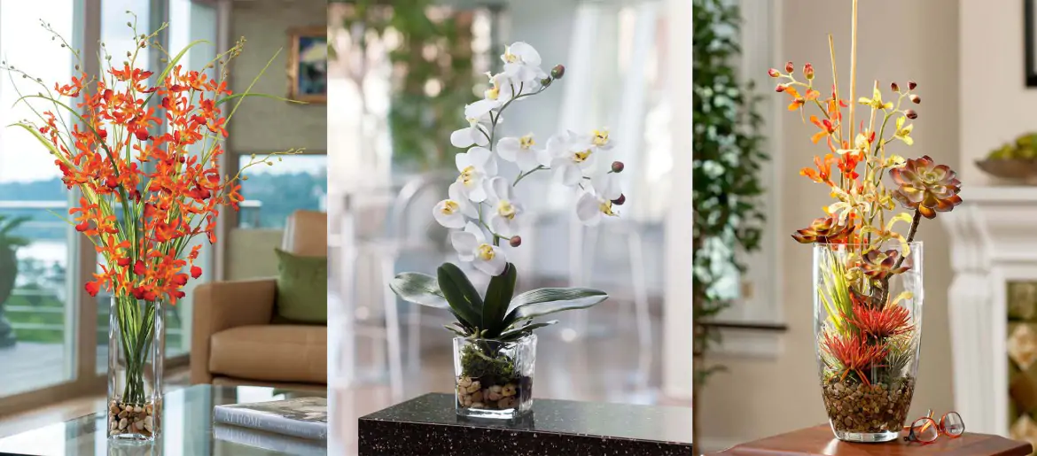 Onde devo colocar as orquídeas no meu apartamento?