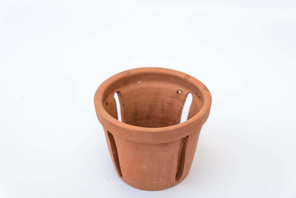 7 tipos de vaso para usar em orquídeas