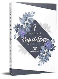 7 Dicas de Orquídeas e seu Cultivo