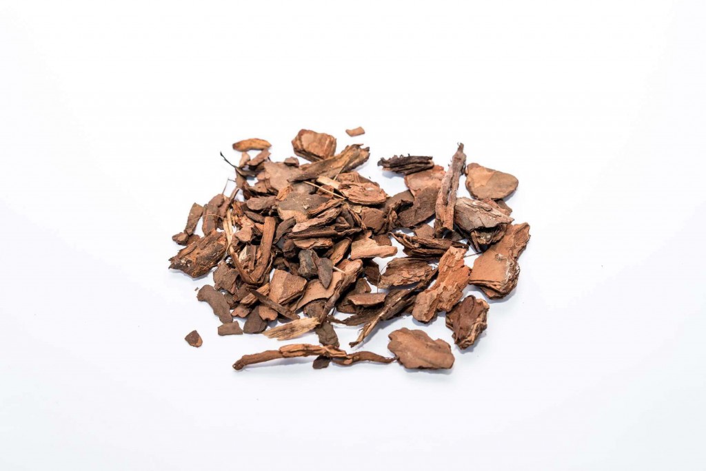 Qual o melhor substrato para minha orquídea?